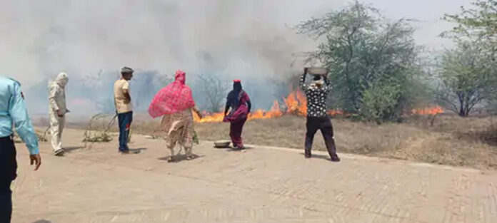 Hisar News: हिसार के अग्रोहा में ऐतिहासिक टीले पर लगी आग