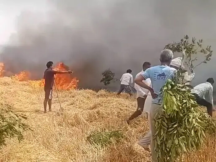 Kaithal News: कैथल में आंधी से खेतों में लगी आग