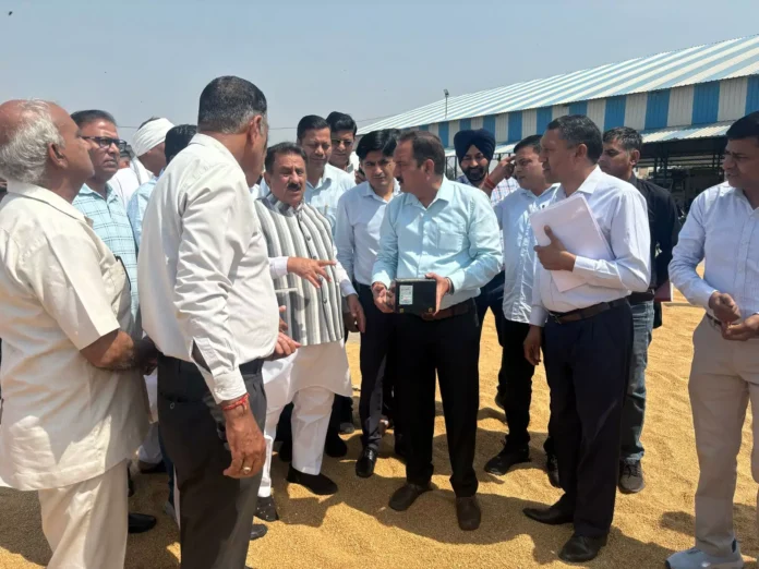 If there is even a little negligence in the arrangements for wheat procurement, action will be taken Subhash Sudha