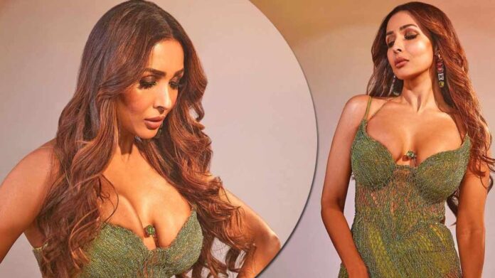 Malaika Arora का क्रिप्टिक पोस्ट वायरल, क्रिकेटर संग जुड़ रहे नाम पर दिया इशारा?
