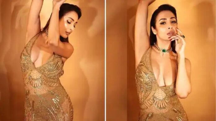 Malaika Arora Cryptic Post: जहां इज्जत न हो वहां दूरी सही...', मलाइका का क्रिप्टिक पोस्ट