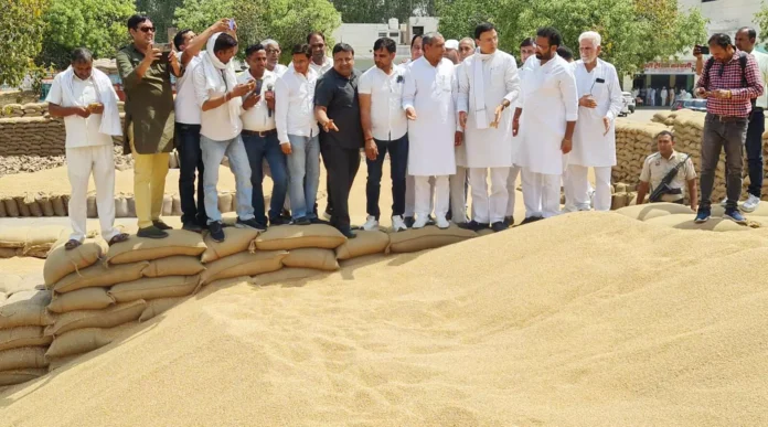 Jind News : रणदीप सुरजेवाला ने किया अनाज मंडी का किया दौरा