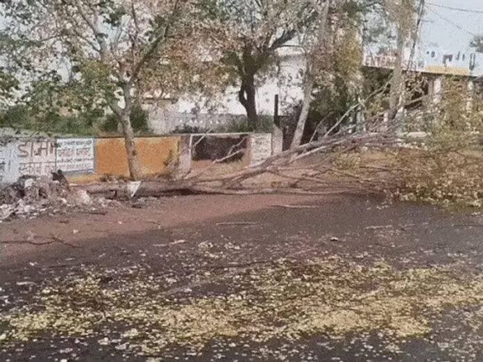 Haryana Weather Update: हरियाणा में आज बारिश और आंधी का अलर्ट