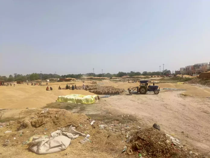 Jind News : आढ़तियों को दो साल से मंडी में तृतीय भाग के निर्माण का इंतजार