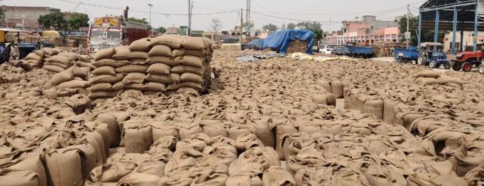 The market got jammed due to the pile of wheat sacks in the market