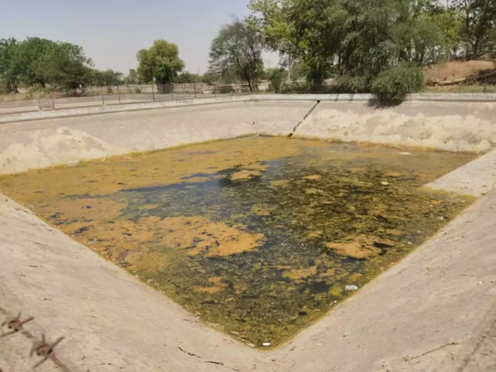 Sirsa News : राजस्थान सीमा से लगते गांव कर्मशाना में पेयजल की भारी किल्लत