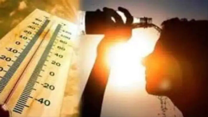 Haryana Weather Update: हरियाणा में हीटवेव का अलर्ट जारी