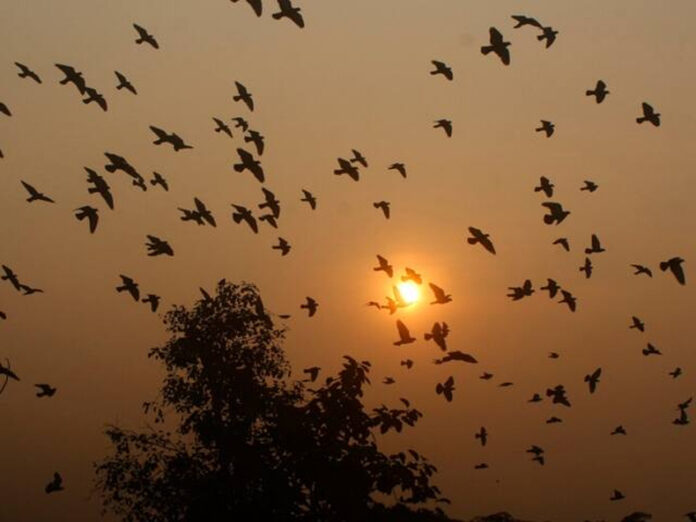 Haryana Weather Update: हरियाणा में 3 अप्रैल को छाए रहेंगे बादल, चलेंगी हल्की से मध्यम गति की हवाएं
