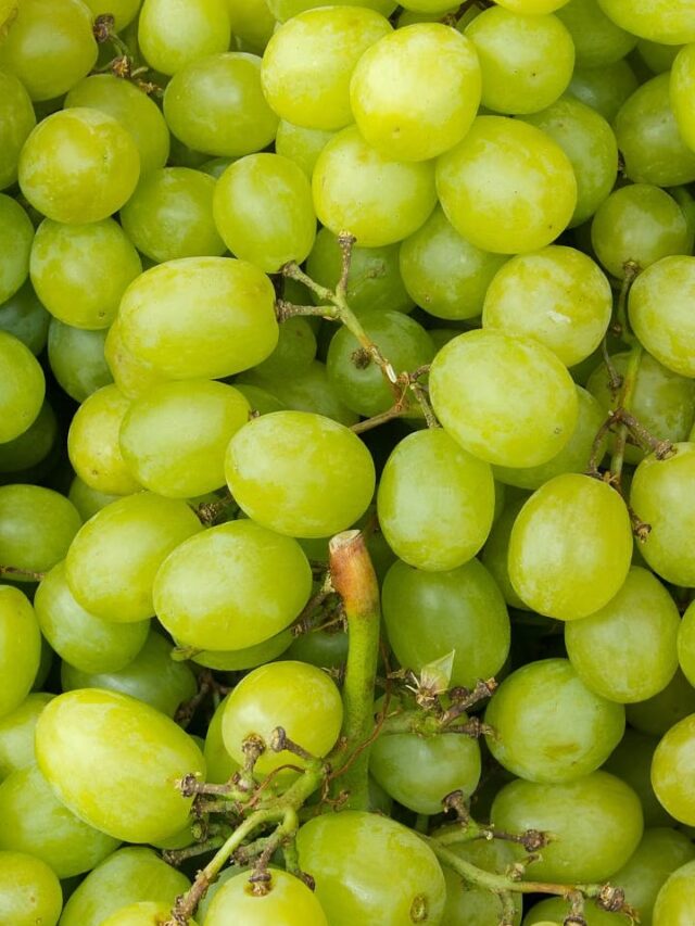 Benefits Of grape: इम्यून सिस्टम को बूस्ट करता है ये छोटा सा फल