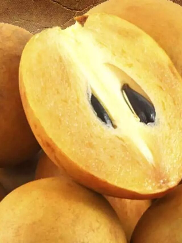 Benefits of Chikoo: गर्मियों में छुपा है सेहत का खजाना, इस भूरे फल से घटें बुढ़ापे के लक्षण