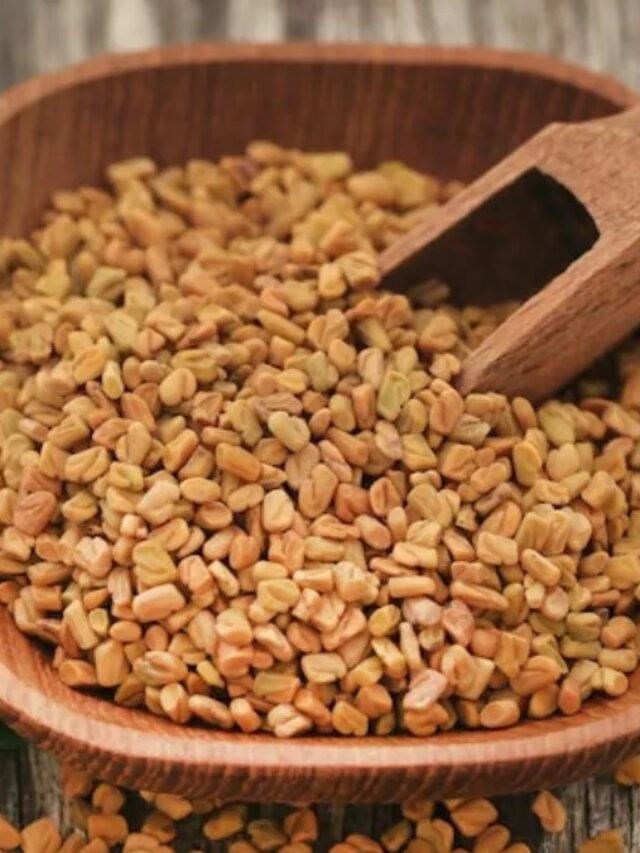 Health Tips: सुबह-सुबह चबाएं मेथी दाने, होंगे ये 5 जबरदस्त फायदे