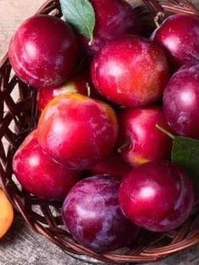 Health Tips: पाचन, ब्लड प्रेशर और आंखों की रोशनी के लिए वरदान है आलूबुखारा