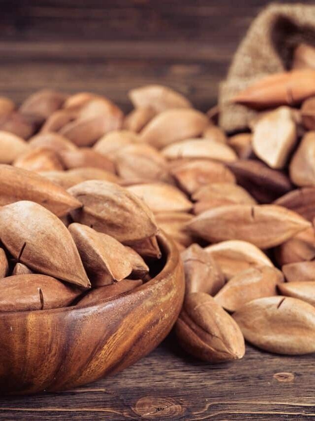 Pili Nuts: किशमिश और काजू छोड़ो! ये छोटा सा नट्स है ताकत का पावरहाउस
