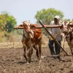 Good news for farmers : सरकार ने किसानो को दी बड़ी राहत, मात्र 1 रुपए प्रति यूनिट मिलेगी बिजली