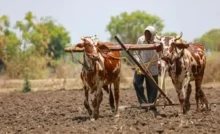 PM Kisan 20th Installment : जल्द ही जारी होगी पीएम किसान की 20वीं किस्त , eKYC होना जरुरी