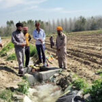 Punjab News : कंडी नहर बनी किसानों के लिए वरदान