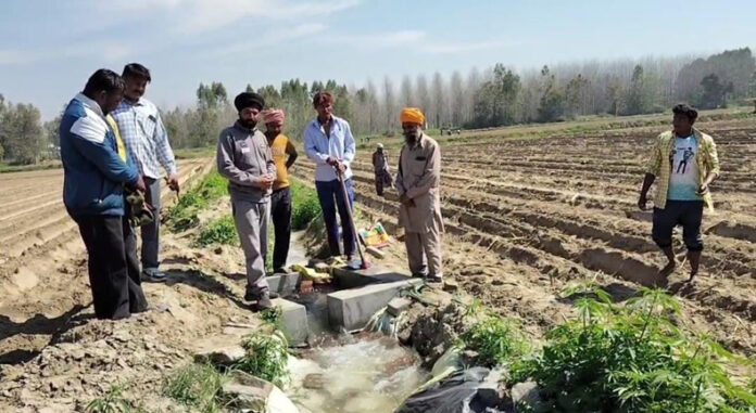 Punjab News : कंडी नहर बनी किसानों के लिए वरदान