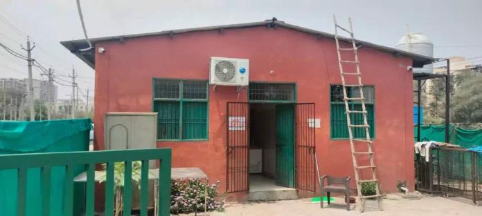 After being closed for 8 months, the work of sterilization of stray dogs started again