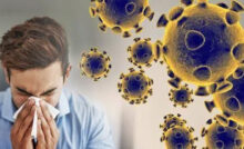 Haryana Corona Virus Update: हरियाणा में कोरोना के 5 नए केस मिले