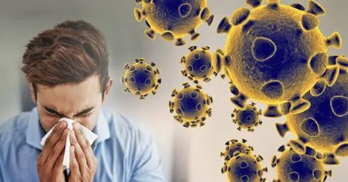 Haryana Corona Virus Update: हरियाणा में कोरोना के 5 नए केस मिले