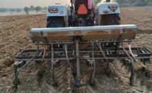 Farmers have started sowing millet in southern Haryana