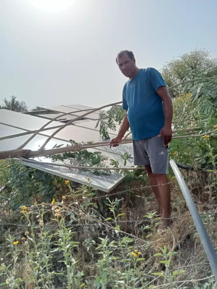 Green trees broken and solar plates damaged due to strong storm