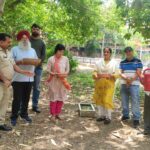 Chandigarh News