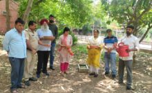 Chandigarh News