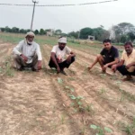 Bhiwani News : लोहारू क्षेत्र में हल्की बरसात से मौसम हुआ सुहावना, बरसात कपास की अगेती फसल के लिए होगी फायदेमंद