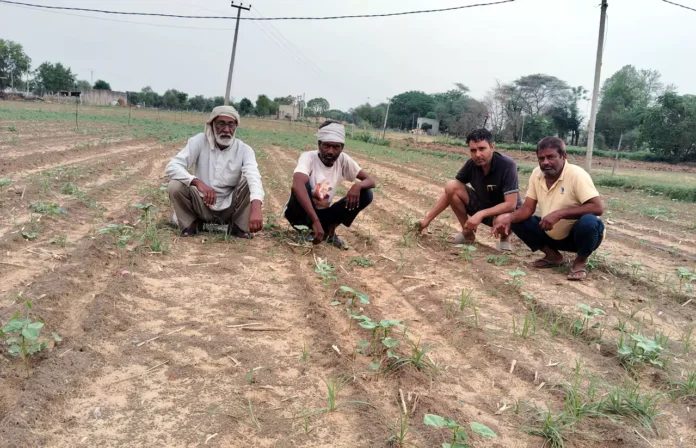 Bhiwani News : लोहारू क्षेत्र में हल्की बरसात से मौसम हुआ सुहावना, बरसात कपास की अगेती फसल के लिए होगी फायदेमंद