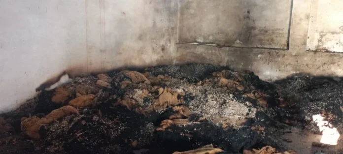 Machines, oil and other products worth lakhs burnt due to short circuit in the oil mill, fire brigade controlled the fire in three hours