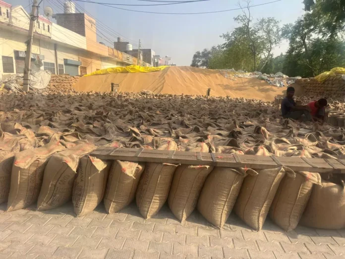 Jind News : खरीद एजेंसियों की लापरवाही किसानों पर पड़ रही भारी
