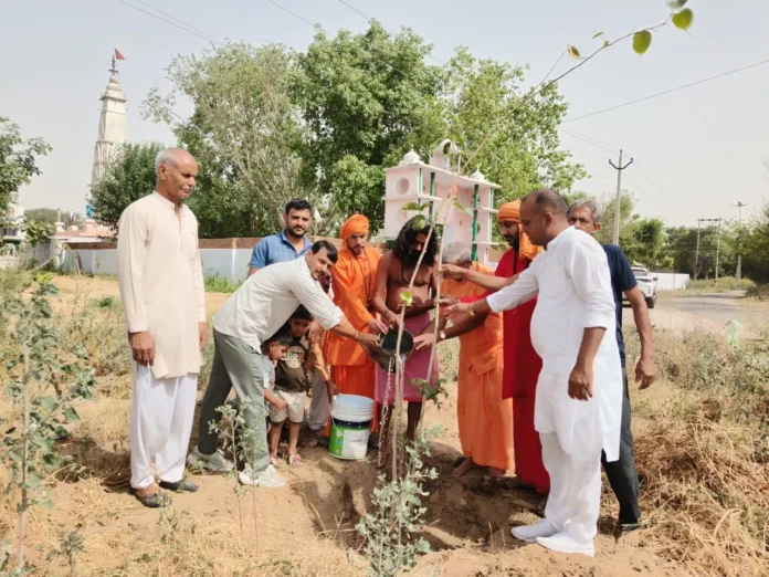 Planting trees and protecting the environment is everyone's shared moral responsibility