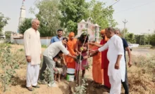 Planting trees and protecting the environment is everyone's shared moral responsibility