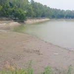 Jind News : सेक्टरों में पेयजल सप्लाई का संकट होने पर बढ़ी परेशानी