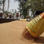 Residents of Loharwara donated 200 quintals of wheat and cash to the cowshed