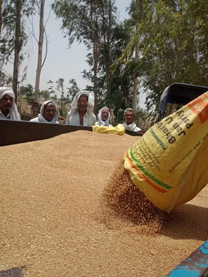 Residents of Loharwara donated 200 quintals of wheat and cash to the cowshed