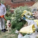 Jind News : नशे के खिलाफ  चलाए अभियान के तहत आफताबगढ़ में चलाया सर्च अभियान