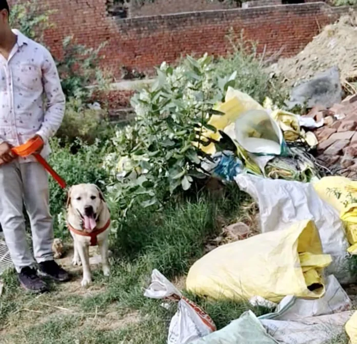 Jind News : नशे के खिलाफ  चलाए अभियान के तहत आफताबगढ़ में चलाया सर्च अभियान