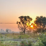 Haryana Weather Update: हरियाणा में कल से बदलेगा मौसम, आज रहेगा साफ, धूप खिलेगी