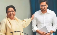 BSP Politics