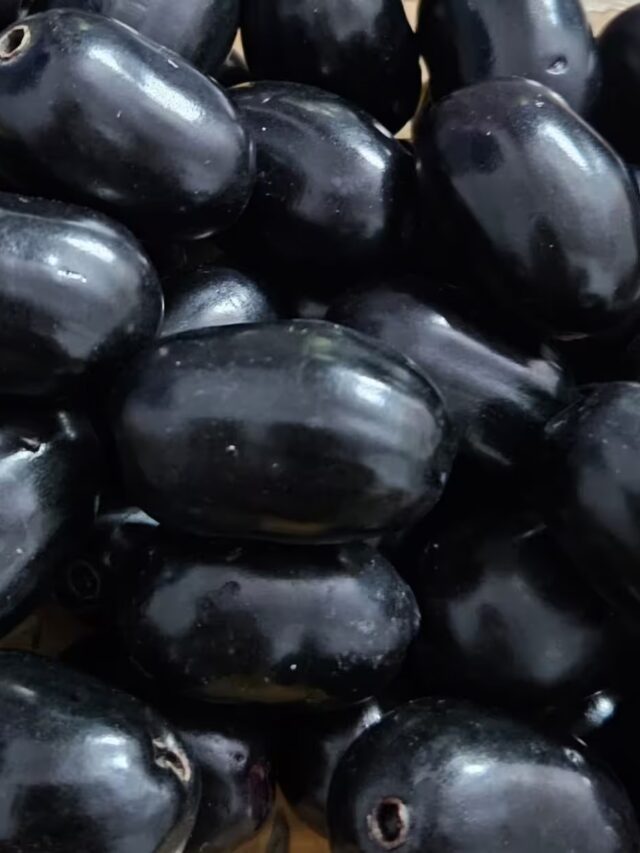 Jamun Health Benefits: डायबिटीज कंट्रोल से लेकर पाचन सुधारने तक, ये काला फल है सेहत का खजाना