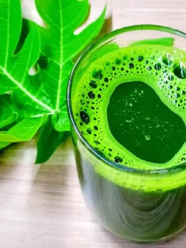 Papaya leaf juice: इन 4 बड़ी समस्याओं में रामबाण है पपीते की पत्तियों का जूस