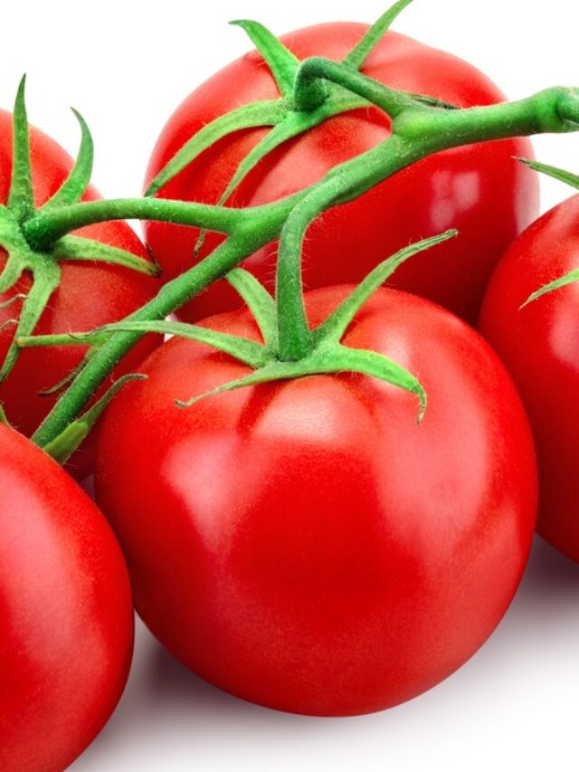 Tomatoes: दिमाग की ये दिक्कतें कर दे टमाटर छू-मंतर