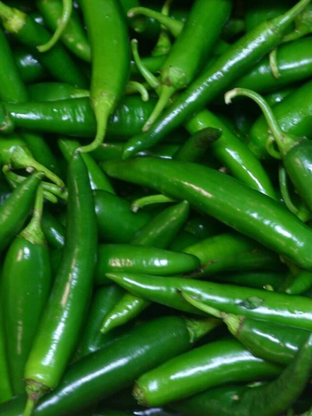 Green Chillies: आंखों से लेकर ब्लड शुगर तक, इस तीखी चीज़ में छुपे हैं सेहत के जबरदस्त राज