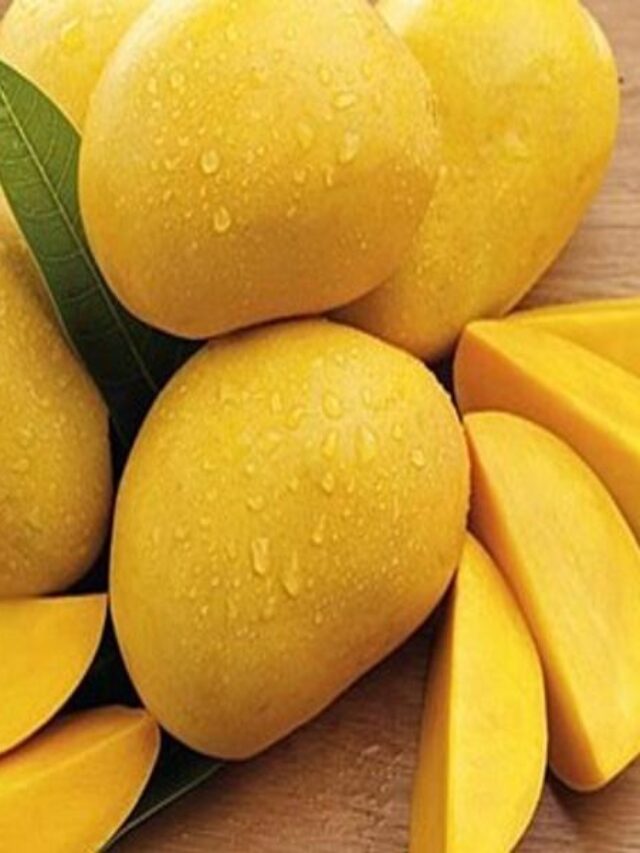 Mango Testing: कहीं आप भी तो नहीं खा रहे केमिकल वाले आम? ऐसे पहचाने असली और नकली