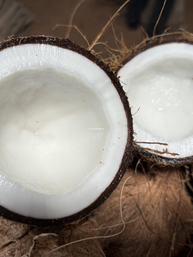Raw Coconut Benefits: रोजाना खाएं कच्चा नारियल, शरीर में दिखेंगे ये चौंकाने वाले फायदे