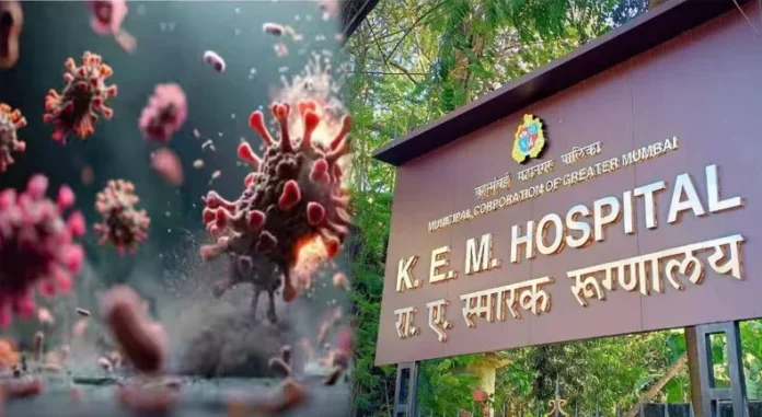 Maharashtra