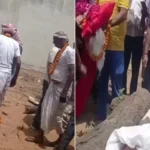 Rajasthan News