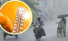 Weather